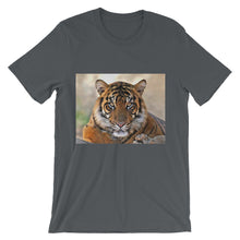 Tiger t-shirt
