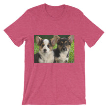 Corgis t-shirt