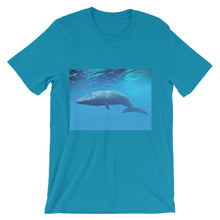 Endangered Species t-shirt