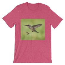 Hummingbird and Bee t-shirt
