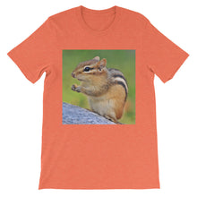 Chipmunk t-shirt