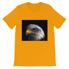 American Eagle t-shirt