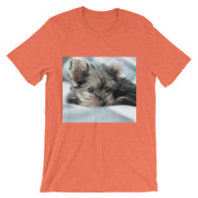 Yorkie Puppy t-shirt