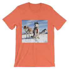 Huskies t-shirt