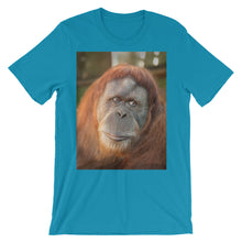 Endangered Species t-shirt