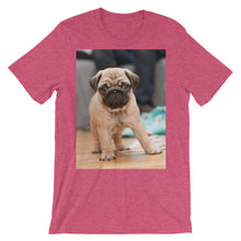 Pug t-shirt