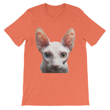 Cat t-shirt