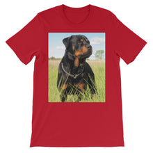 Rottweiler t-shirt