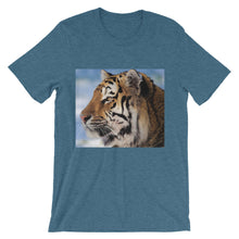 Tiger t-shirt