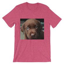 Puppy t-shirt
