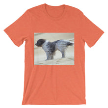 Dog t-shirt