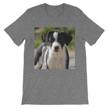 Dog t-shirt