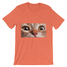 Cat t-shirt