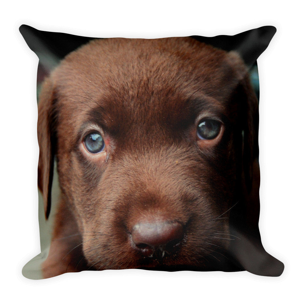 Lab Puppy Pillow