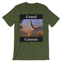 Grand Canyon t-shirt