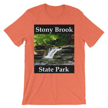 Stony Brook t-shirt