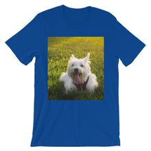 Dog t-shirt