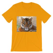 Tiger t-shirt