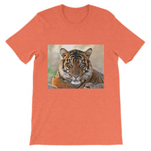 Tiger t-shirt