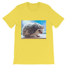 Hedgehog t-shirt