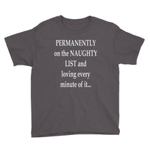 Permanently on the Naughty List Youth Short Sleeve T-Shirt