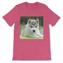 Puppy t-shirt