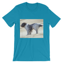 Dog t-shirt