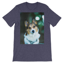 Corgi t-shirt