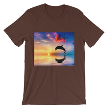 Dolphin t-shirt