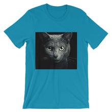 Cat t-shirt