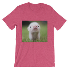 Piglet t-shirt