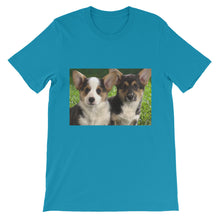 Corgis t-shirt