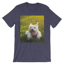 Dog t-shirt