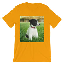 Puppy t-shirt