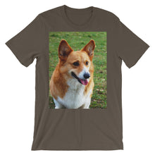 Corgi t-shirt
