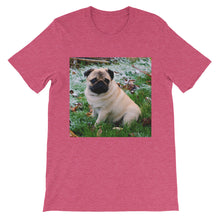 Pug t-shirt