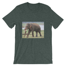 Endangered Species t-shirt