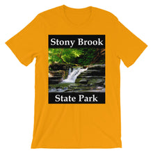 Stony Brook t-shirt