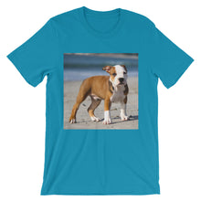 Dog t-shirt