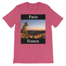 Paris t-shirt