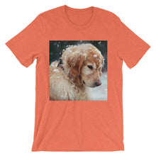 Dog t-shirt