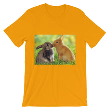 Rabbits t-shirt