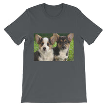 Corgis t-shirt
