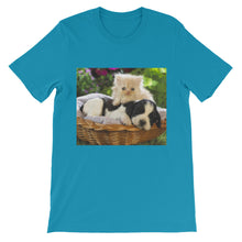 Kitten and Puppy t-shirt