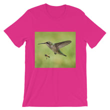 Hummingbird and Bee t-shirt