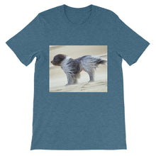 Dog t-shirt
