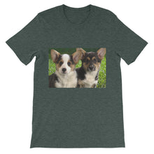 Corgis t-shirt