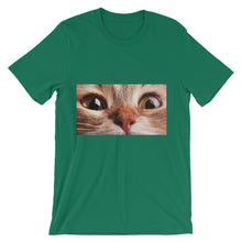 Cat t-shirt