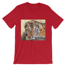 Tiger t-shirt