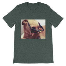 Dog with glasses t-shirt